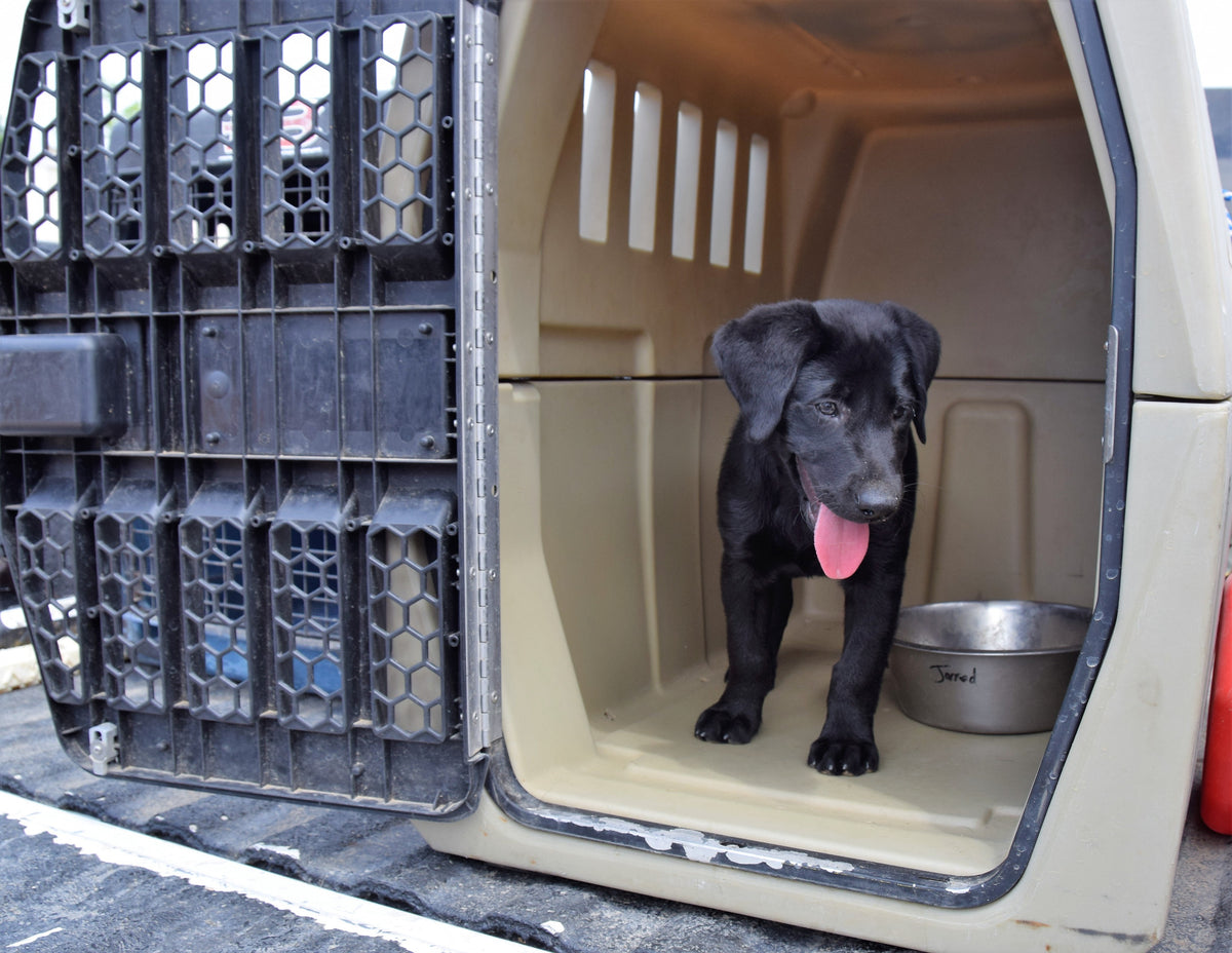 Dog Training-Crate Training your Puppy