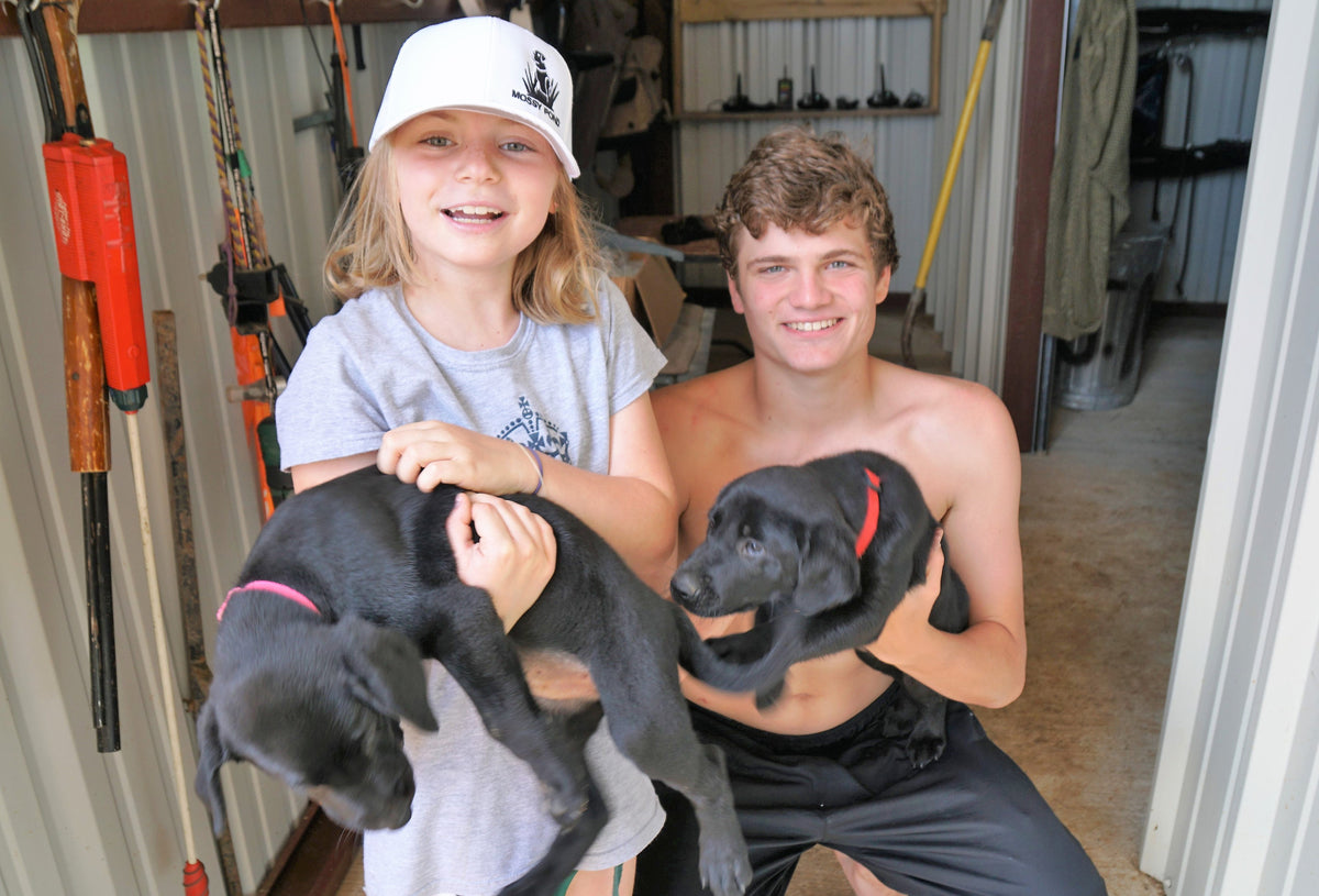 Dog Training- Socializing Your Puppy with Kids and Adults